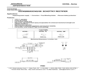 63CNQ100SL.pdf