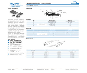 TYC0402.pdf