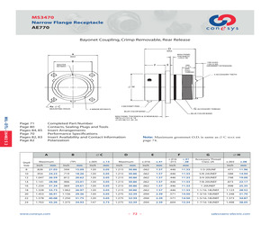 MS3470L14-19PY.pdf