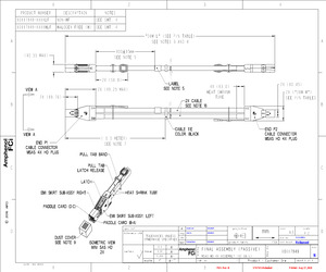 10117949-2010LF.pdf