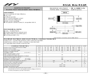 RS1B.pdf