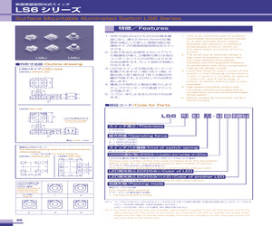 LS6U3M-5R/FG-T.pdf