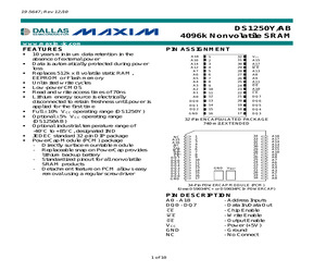 DS1250Y-100IND+.pdf