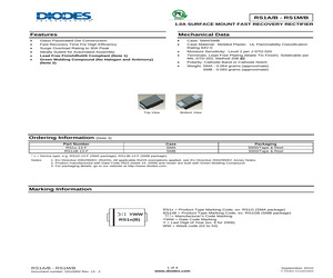 RS1A-13.pdf