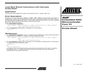 COMPLEX ASIC CORES - SOFTWARE.pdf