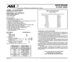 AS58C1001DCJ-20/IT.pdf