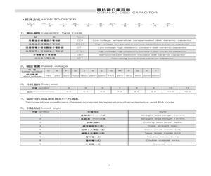 CT1-F10Z5V3D683SSPW.pdf