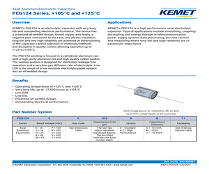 PEG124KA311DQL1.pdf